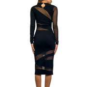 Just Cavalli